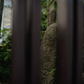 DSC_1244