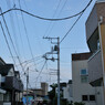 DSC_1251