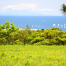 zushi_19