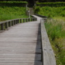 森林公園にて