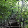 森林公園にて