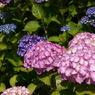 森林公園にて