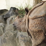 つれない相手