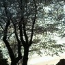 夕暮れ。