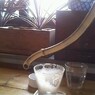 おひるのひととき。