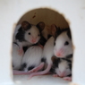 photo_1893308