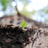 photo_1893312