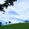 DSC02133