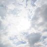 IMGP9646