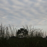 朝の空