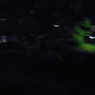 DSCN2362