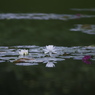 雨の前の静けさ