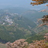 吉野山