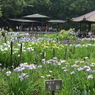 菖蒲園