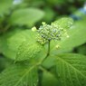 Rainy Day ⅩⅣ