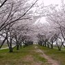 日本の美しき情景