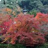 京都の写真集　Photo Gallery of Kyoto, Japan.