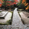 京都の写真集　Photo Gallery of Kyoto, Japan.