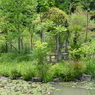 宝塚ガーデンフィールズ　English Garden.