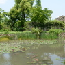 宝塚ガーデンフィールズ　English Garden.