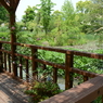 宝塚ガーデンフィールズ　English Garden.