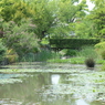 宝塚ガーデンフィールズ　English Garden.