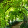宝塚ガーデンフィールズ　English Garden.