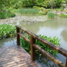 宝塚ガーデンフィールズ　English Garden.