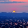 絶景　砺波平野 散居村夕景Ⅲ