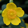 美しきマクロの世界　Beautiful world of macro.