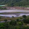 台風一過の相模原市の大島付近の相模川の濁流_6348