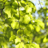 _DSC1181_PH