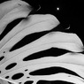 CITYSKIN 0059