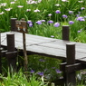 菖蒲園