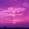 Purple sunset