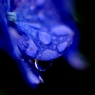 ＵＮＤＥＲ　ＢＬＵＥ