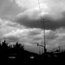 monochrome