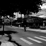 monochrome