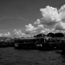 monochrome