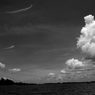 monochrome