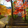 亀岡神蔵寺