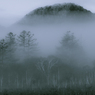　霧の高原
