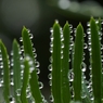 梅雨の晴れ間　 ♯2