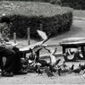 おじさんと鳩