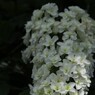 2012.6.24 熊谷市　能護寺