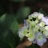 2012.6.24 熊谷市　能護寺