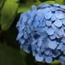 2012.6.24 熊谷市　能護寺