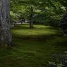 苔＃２（三千院）