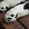 猫カフェ　肉球