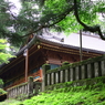 日光
